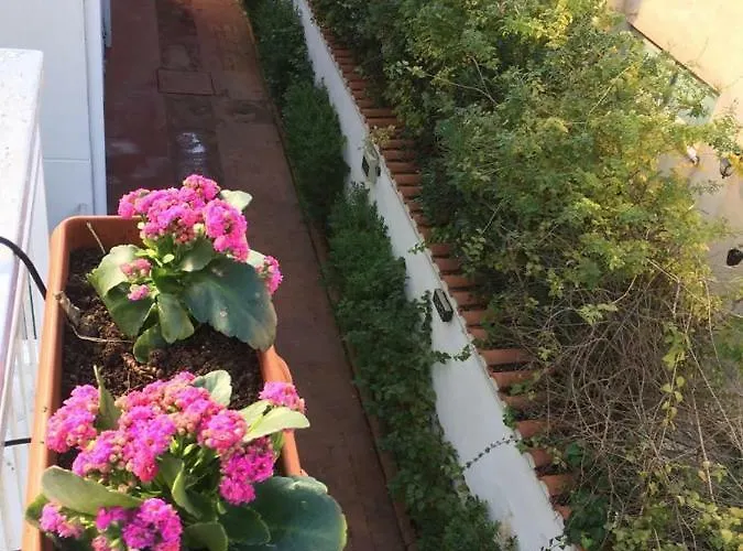 Apartment Armida House - Mondello